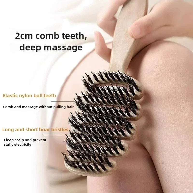 Boar Bristle Hair Comb Hollow Detangling Hair Brush Women Scalp Massage Brush Curly